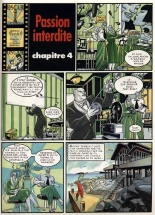 Passion Interdite : page 29