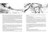 Petites Éclipses : page 5