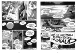 Petites Éclipses : page 43
