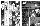 Petites Éclipses : page 44