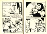 PFA - Contes Malicieux #48 Ali Baba et les 40 pétroleurs : page 27