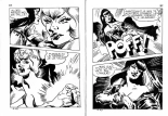 PFA - Contes satyriques #8 Ma sorcière Balayez : page 109