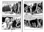 PFA - Ed de l'occident - Astrella #18 la colère de Vulkan : page 17