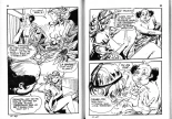 PFA - Elvifrance - Baghera #12 Quelle vieiile tante : page 45