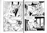 PFA - Elvifrance - Baghera #16 Ça va chiez des bulles : page 30