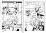 PFA - Elvifrance - Baghera #17 Il s'en faut d'un poil : page 12