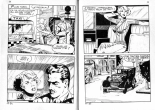 PFA - Elvifrance - Baghera #17 Il s'en faut d'un poil : page 20