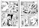 PFA - Elvifrance - Baghera #17 Il s'en faut d'un poil : page 39