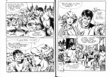 PFA - Elvifrance - Baghera #27 K.O. à San Diego : page 20