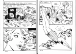 PFA - Elvifrance - Baghera #27 K.O. à San Diego : page 49