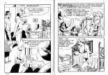 PFA - Elvifrance - Baghera #33 Cat contre le Ku Klux Klan : page 6
