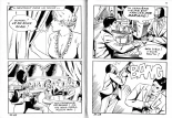 PFA - Elvifrance - Baghera #33 Cat contre le Ku Klux Klan : page 37