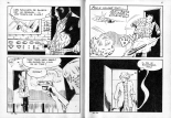 PFA - Elvifrance - Baghera #34 Le tunnel de la mort : page 49