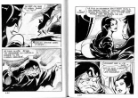 PFA - Elvifrance - Satires #22 Du coté de la loi : page 80