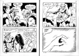 PFA - Elvifrance - Satires #3 - Don quichotte : page 17
