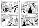 PFA - Elvifrance - Satires #3 - Don quichotte : page 103