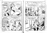 PFA - Elvifrance - Satires #3 - Don quichotte : page 106