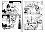 PFA - Elvifrance - Satires #3 - Don quichotte : page 110