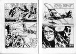 PFA - Elvifrance - Satires #77 Vendre la peau du Phoque - b 20 M de $ pour un jet : page 9