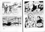 PFA - Elvifrance - Satires #77 Vendre la peau du Phoque - b 20 M de $ pour un jet : page 28