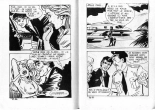 PFA - Elvifrance - Satires #77 Vendre la peau du Phoque - b 20 M de $ pour un jet : page 94