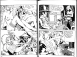 PFA - Hypersexy #08 Lady Love et le sultan - b Belle Star Le train des mineurs : page 40