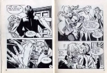 PFA - Hypersexy #15 Lady Love L'amant de Lady Love - b Chang, Le livre chinois : page 7