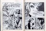 PFA - Hypersexy #15 Lady Love L'amant de Lady Love - b Chang, Le livre chinois : page 11