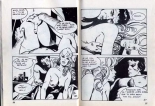 PFA - Hypersexy #15 Lady Love L'amant de Lady Love - b Chang, Le livre chinois : page 15