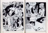 PFA - Hypersexy #15 Lady Love L'amant de Lady Love - b Chang, Le livre chinois : page 27