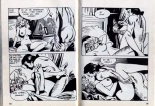 PFA - Hypersexy #15 Lady Love L'amant de Lady Love - b Chang, Le livre chinois : page 29