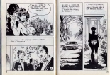 PFA - Hypersexy #15 Lady Love L'amant de Lady Love - b Chang, Le livre chinois : page 34