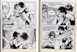 PFA - Hypersexy #15 Lady Love L'amant de Lady Love - b Chang, Le livre chinois : page 36