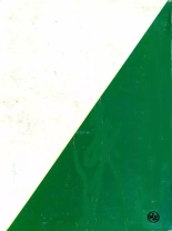 PFA - SEPP - Bandes grivoises #1 Prohibition story : page 67