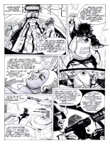 Picabo : page 41