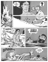 Polonius : page 13