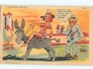 hentai PONY RIDING 2