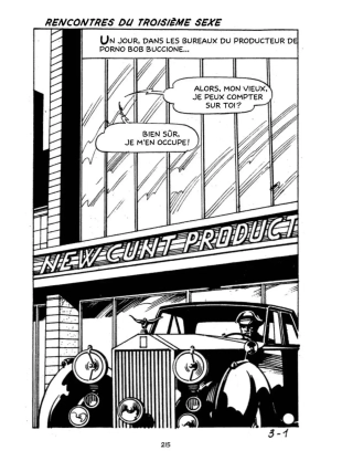 hentai Pornostar-Incontri ravvicinati del terzo sesso