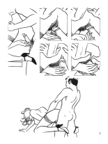 Premières Fois : page 36