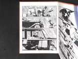 Processus de Survie : page 37