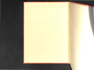 hentai Processus de Survie