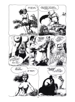 Razar le Lâche : page 19