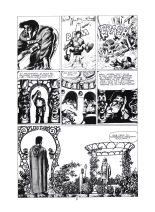Razar le Lâche : page 31
