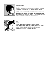 REUNION⎮La réunion : page 25