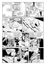 Roberto Kussomoto & Passolini - Les 11001 verges : page 23