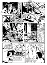 Roberto Kussomoto & Passolini - Les 11001 verges : page 31
