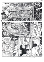 S. Nordahl - Les damnés de Mallande #1 : page 11
