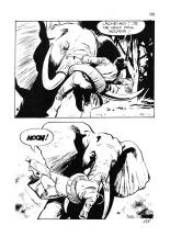 Série Jaune 048 - L'éléphant blanc : page 161