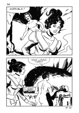Série Jaune 23 - La dame rouge : page 214