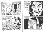 Satires 065 - Le masque de sang : page 41